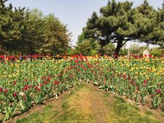 -长春公园(普阳街道)