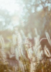 -酷嗒动物文化乐园(cutezoo西溪乐天城店)