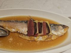 花雕糟篜鲥鱼-红城阁·上海味道(四平路店)