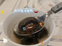 -蒲公英(五里店)