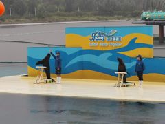 -秦皇岛乐岛海洋王国