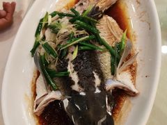 -海晖酒楼·顺德鱼生(荣华店)