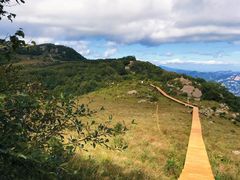 -白草畔自然风景区