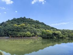 -绍兴镜湖国家城市湿地公园
