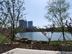 -西海子公园
