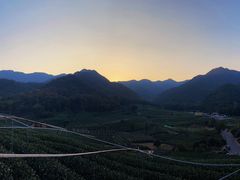 -龙坞茶村