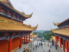 -东莞市大岭山森林公园