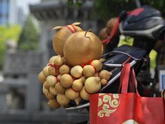 -香积寺