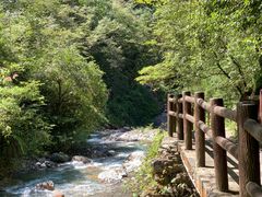 -西岭雪山大飞水景区