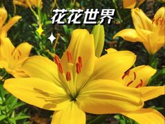 -无锡梅园公园