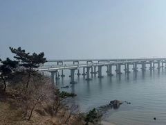 -星海湾跨海大桥