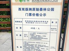 -西双版纳原始森林公园