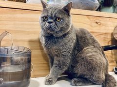 -平行世界·猫咖(首经贸店)