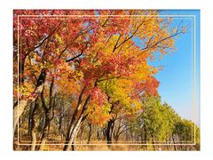 -北京西山国家森林公园