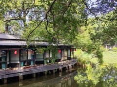 -侨美·唐荔园·40年地道粤菜