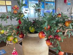 -渔·海鲜餐厅（东澳可域度假村内）南沙湾沙滩店