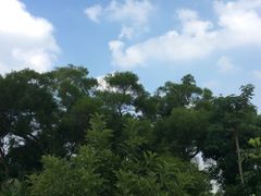 -炮台山公园