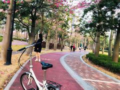-芒洲湿地公园