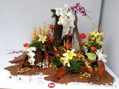 -重庆市江北嘴中央商务区中央公园