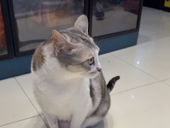 -谜盒子奇幻密室(南屏店)