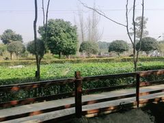 -洪湖家庭农场·团建·露营·会议