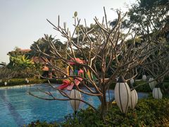 -西双版纳融创皇冠假日度假酒店