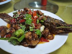 -煲来饱去冷水鱼