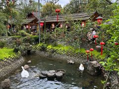 -青城甲(青城山店)