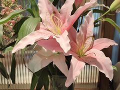 -鑫小城故事·藕汤·家常菜(台北一路总店)