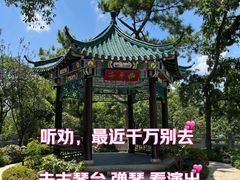 -古琴台