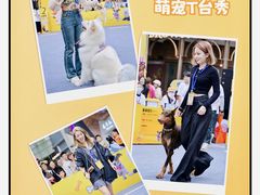 -斯普瑞斯奥特莱斯