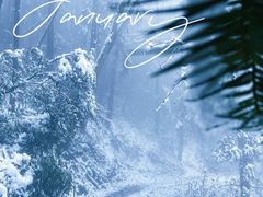 -武陵山森林公园