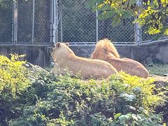 -石家庄市动物园