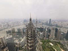 -上海柏悦酒店·世纪100牛排馆