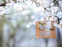 -蒙土乡铁锅焖面(东河店)