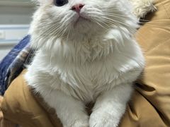 -北京佳信宠物医院