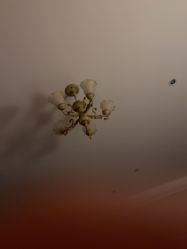 -沪壹健康国际母婴月子中心(360复旦奥医一妇婴东院店)