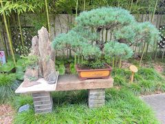 -上海醉白池公园