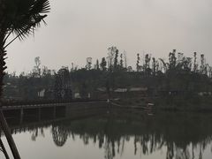 -枫香湖儿童公园