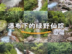 -西岭雪山大飞水景区