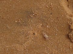 -青岛银沙滩