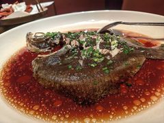 -鸽子侯·家宴·平价海鲜(市图书馆店)