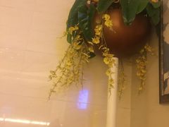 -东方之珠洗浴休闲广场(和平店)