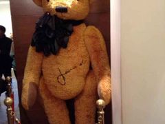 -济州岛泰迪熊博物馆