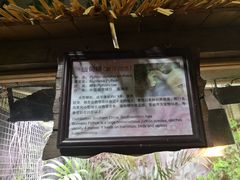 -上海大自然野生昆虫馆(东方明珠·爬宠昆虫探索中心)