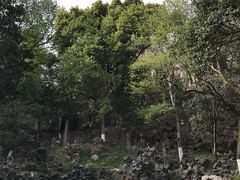 -伯先公园