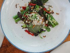 -植物园哈利亚餐厅