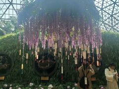 -花之城