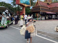 -西双版纳傣族园