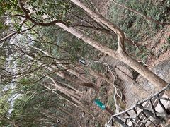 -梧桐山风景名胜区